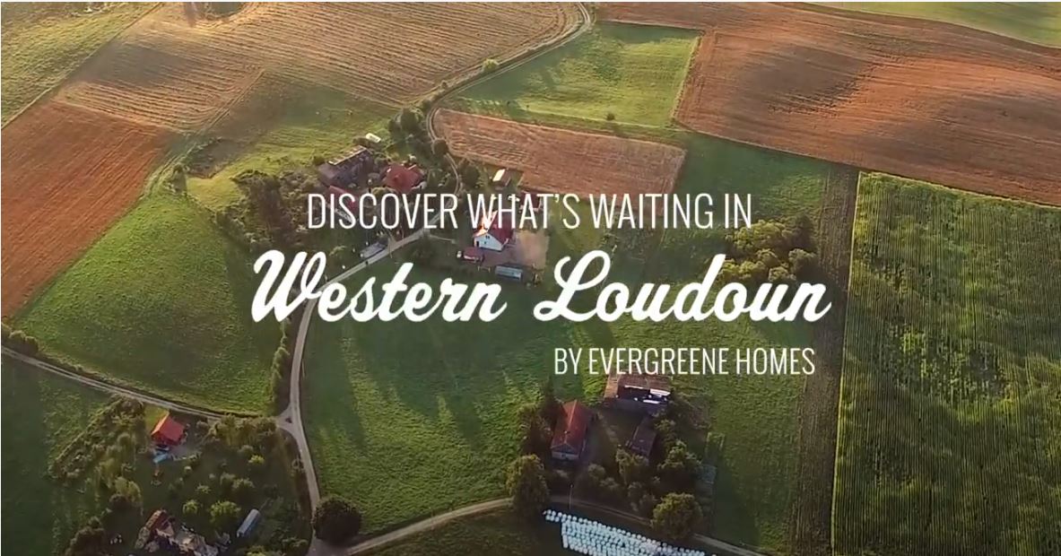 Discover What's Waiting in W Loudoun