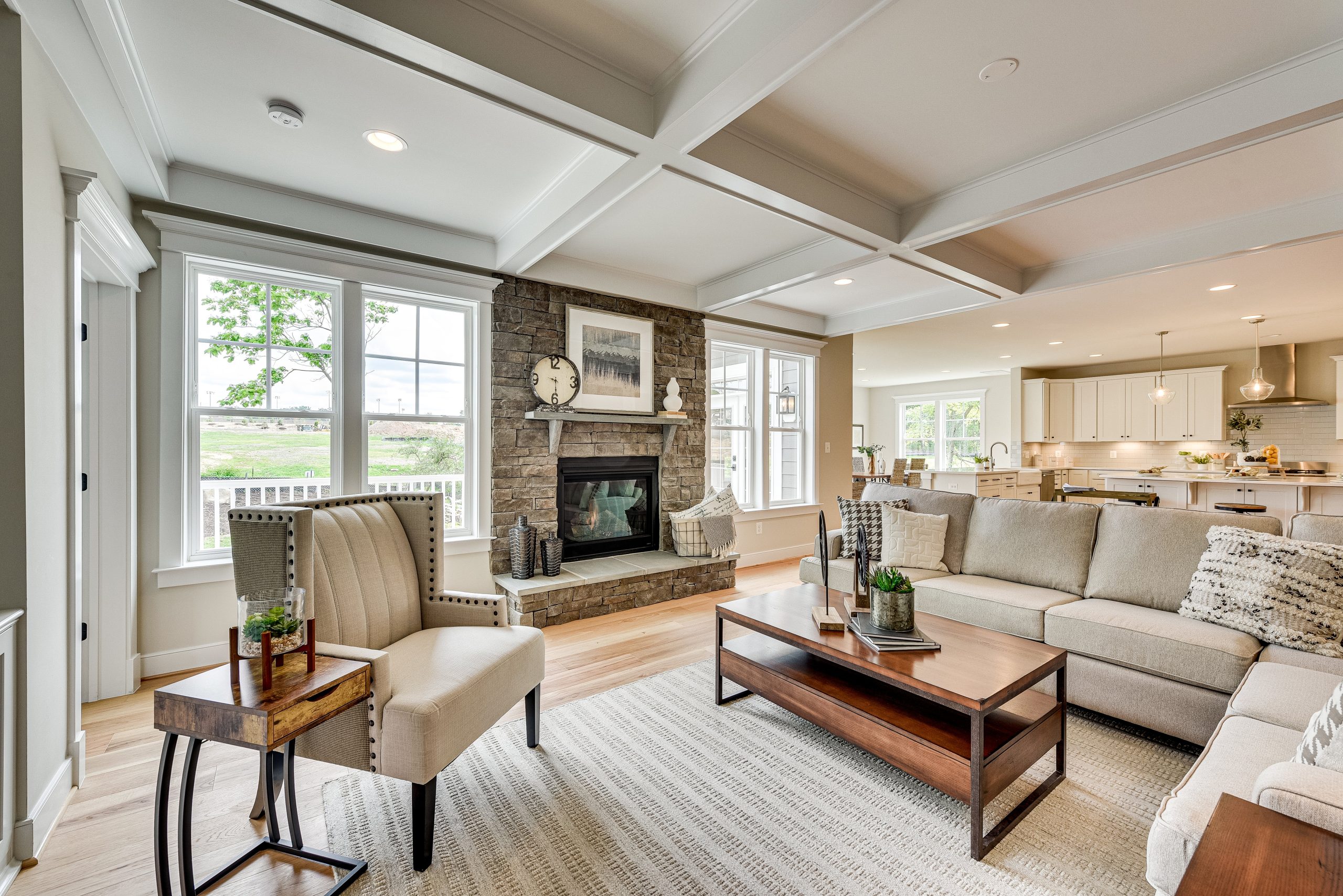 Chapman single family home floorplan living room in Virginia