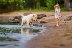 young-girl-and-pet-dog-on-bay-playing (1)