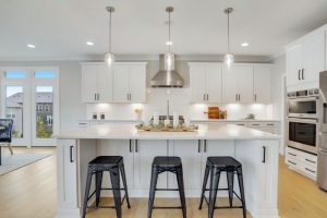 Nov Blog 2 new-homes-in-virginia-designer-kitchen-evergreene-homes