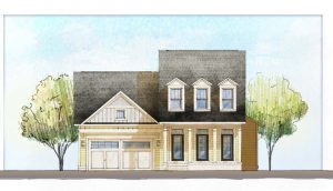 10_-Willet-A