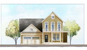 12_-Willet-C