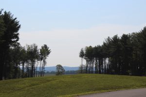 IMG_2447
