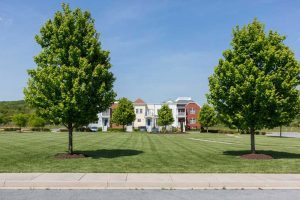 Preston-Lake-Boulevard-41