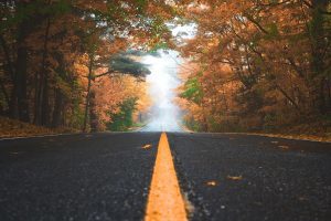 Touchstone Farms Generic Road