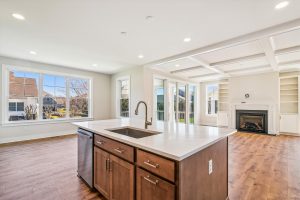 interiors-kitchen-_pic1919