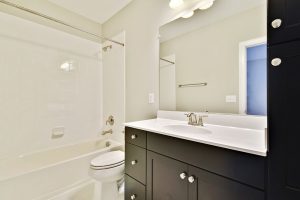 Lower Level-Bath-_HAA3213