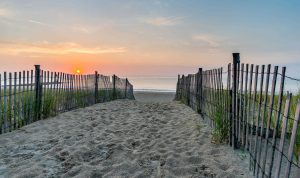 eastern-shore-region-image-min