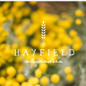 Hayfield Branding Hayfield Branding