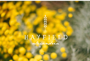 Hayfield Branding Hayfield Branding