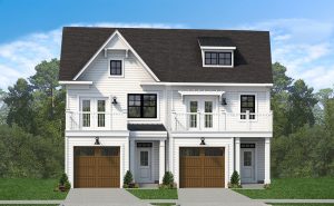 Duplex Rendering