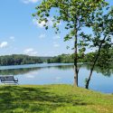 Sleeter lake park bench and edge of water
