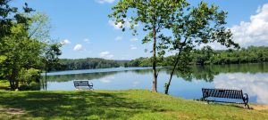 Sleeter lake park bench and edge of water