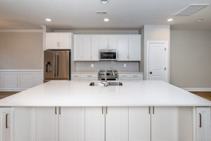 PLAZ L8 Kitchen
