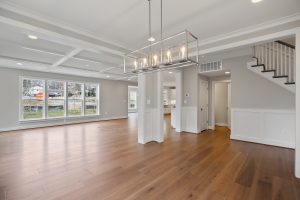 BHVN 2 Addison II W69A7923