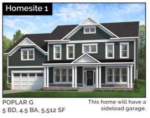 Homesite 1 Poplar G