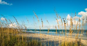 shutterstock_160962779