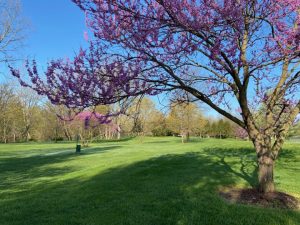 BWTR GLEN Web Sandy Bottom Par-3 April 2