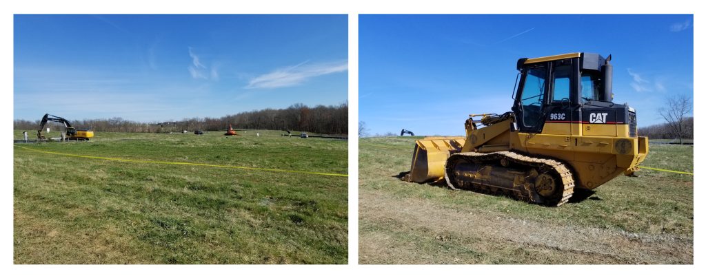 It’s been a beautiful week in Western Loudoun…