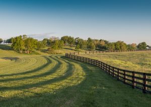 shutterstock_661915828