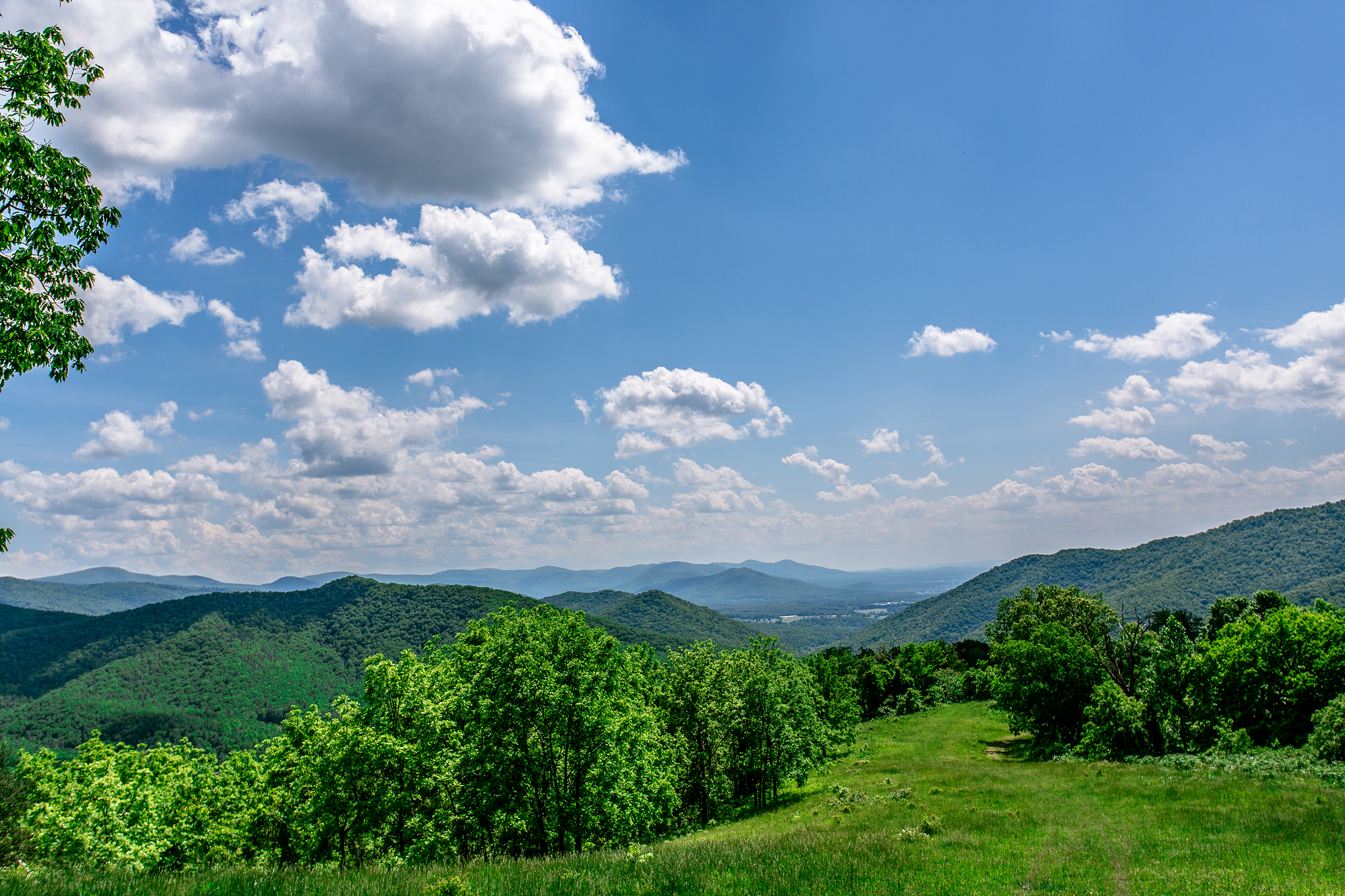 VALLEY-Web-MtnViews.MountainTopRanch.5.2018-1.jpg