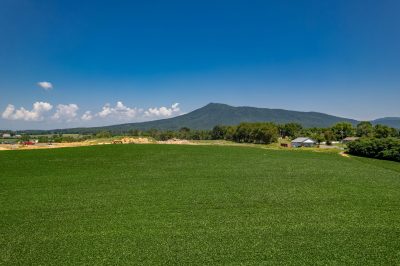 12-web-or-mls-Overlook Drive-12